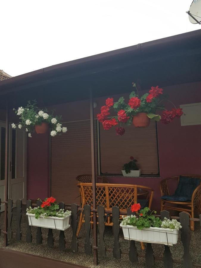 Apartmani, Sobe Ziza Bezdan Dış mekan fotoğraf