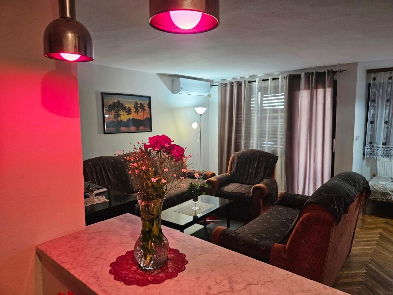 Apartmani, Sobe Ziza Bezdan Dış mekan fotoğraf