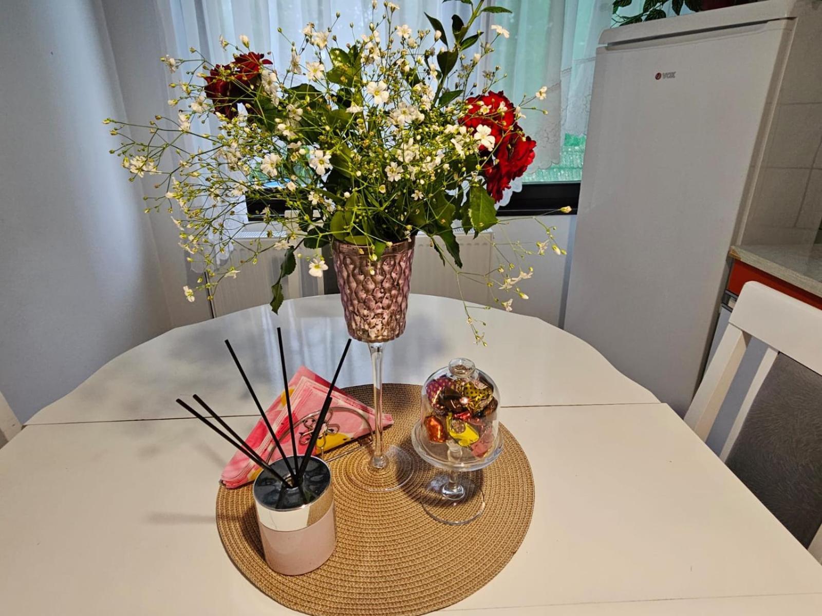 Apartmani, Sobe Ziza Bezdan Dış mekan fotoğraf